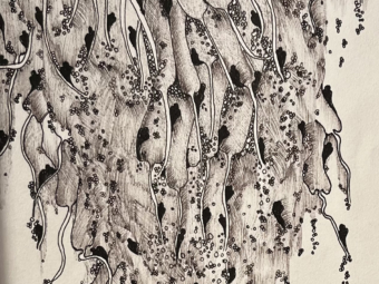 Drawings 2_06