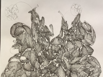 22
